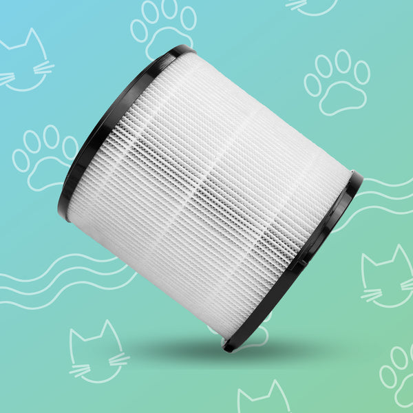 Abby Fresh™ Replacement Filters - Annual Subscription